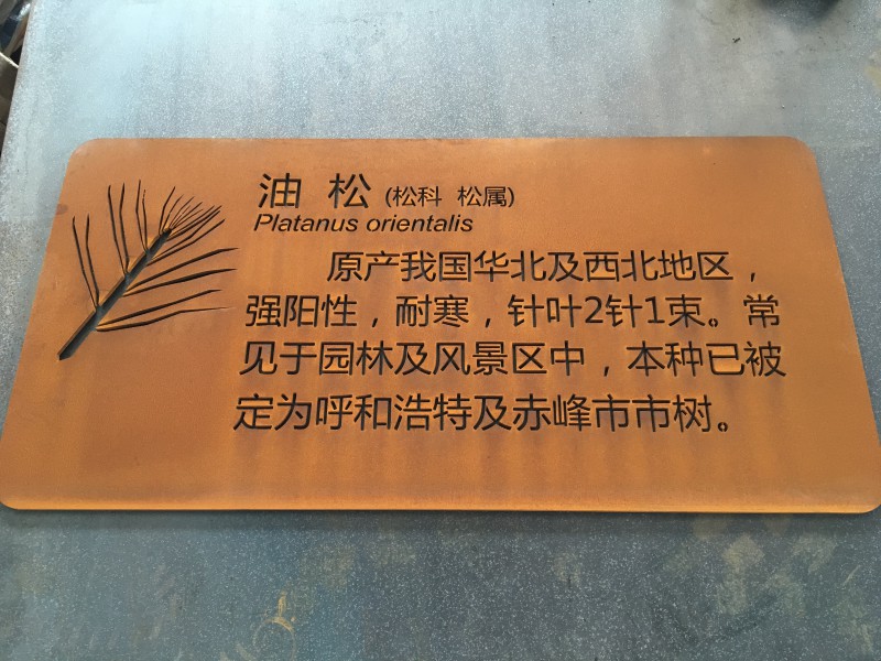 AC506E3D-5230-40A7-A734-A12294990A7F