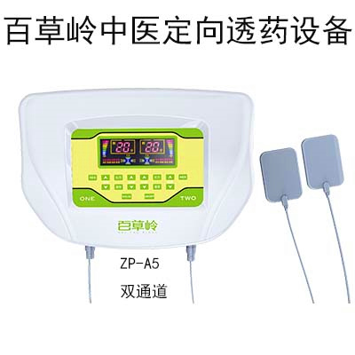 中药离子导入仪