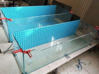 大型鱼缸 饭店海鲜池定制 多层玻璃海鲜鱼缸定制
