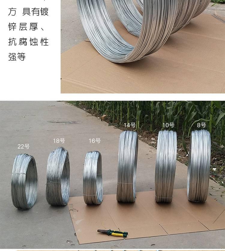 镀锌丝2