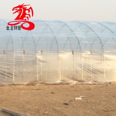 椭圆管木耳大棚-25*50镀锌椭圆管-吊袋木耳大棚钢架