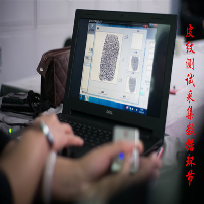 皮纹检测 皮纹测评 天赋测评