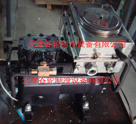 防爆型压缩机001