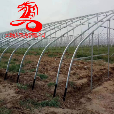 镀锌带椭圆管 金龙钢管厂-椭圆管全钢架暖棚 大棚椭圆管