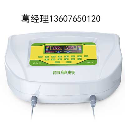 中药离子导入仪 厂家直销