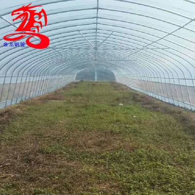 热镀锌大棚管-金龙钢管-1寸6分4分-1.2寸镀锌大棚管 大棚钢管