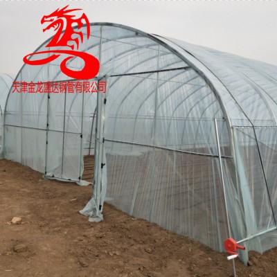椭圆管大棚架子-金龙钢管-内蒙地区30*80-30*70镀锌椭圆管 大棚骨架