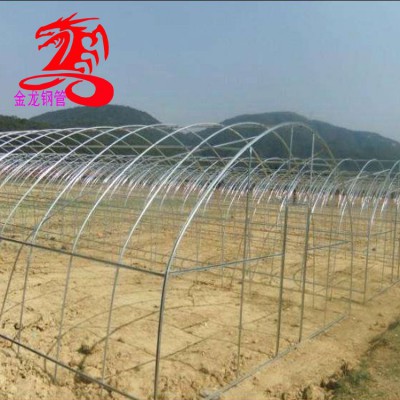 热镀锌钢管-金龙钢管厂-大棚专用镀锌管 大棚钢管