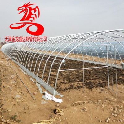 蔬菜大棚管-金龙钢管-25*50椭圆管 冷棚骨架25*50镀锌椭圆管8米跨度大棚价格