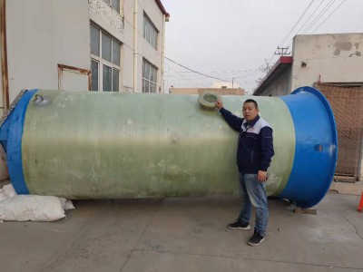 天津一体化污水泵站 潜水排污泵