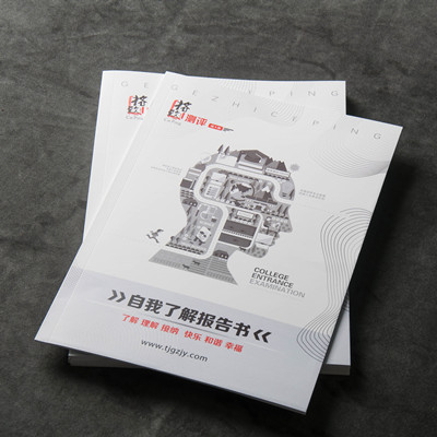 天赋测评 自我了解报告