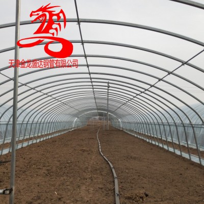 镀锌带大棚管-金龙钢管厂-镀锌带椭圆管 大棚管