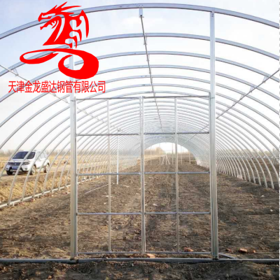 椭圆管大棚钢架-金龙钢管-辽宁镀锌椭圆管 镀锌管