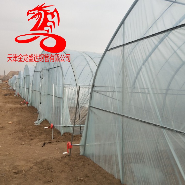 热镀锌椭圆管-金龙盛达-30*50镀锌带椭圆管大棚