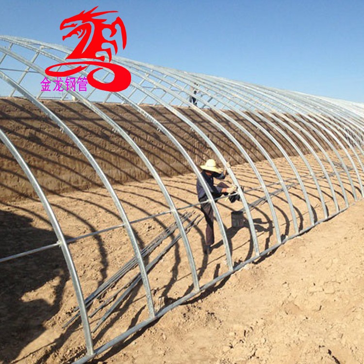 日光温室大棚-金龙盛达-椭圆管日光温室大棚骨架