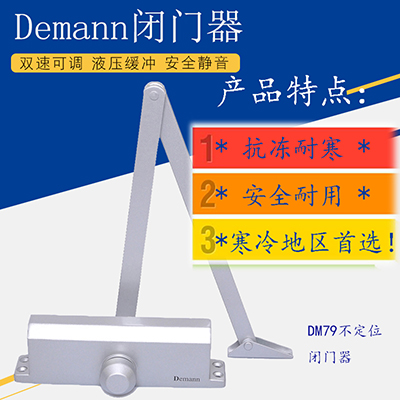 天津Demann闭门器 闭门器厂家 79闭门器价格