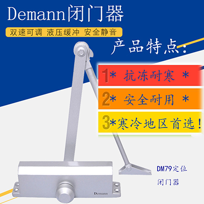 天津Demann闭门器 闭门器厂家 79定位闭门器价格