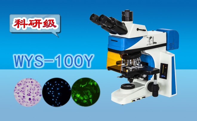 荧光显微镜 科研级三目荧光显微镜WYS-100Y 三目显微镜