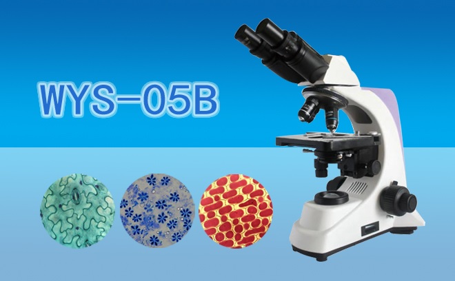 显微镜 生物显微镜 双目生物显微镜WYS-05B