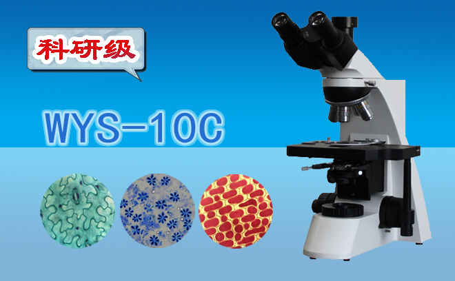 显微镜 生物显微镜 三目生物显微镜WYS-10C