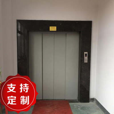 天津店德国帝奥货梯载客电梯商用电梯厂家直营