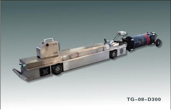 TG-08-D300