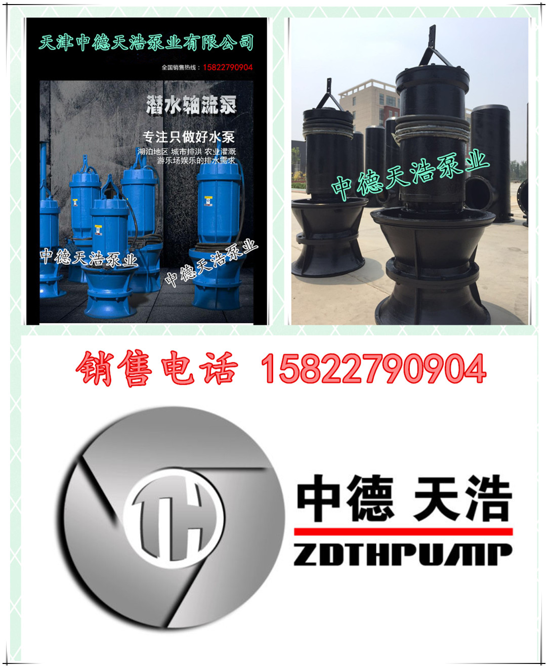 大型排涝泵站水泵选型生产厂家中德天浩泵业安装价格