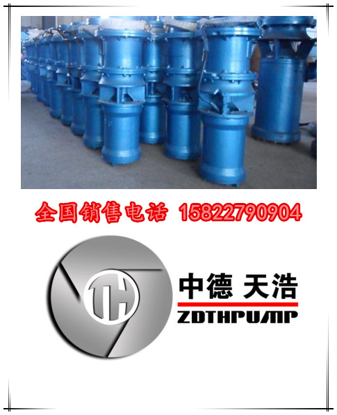中德天浩泵业防汛抗旱水泵大口径大排量潜水轴流泵