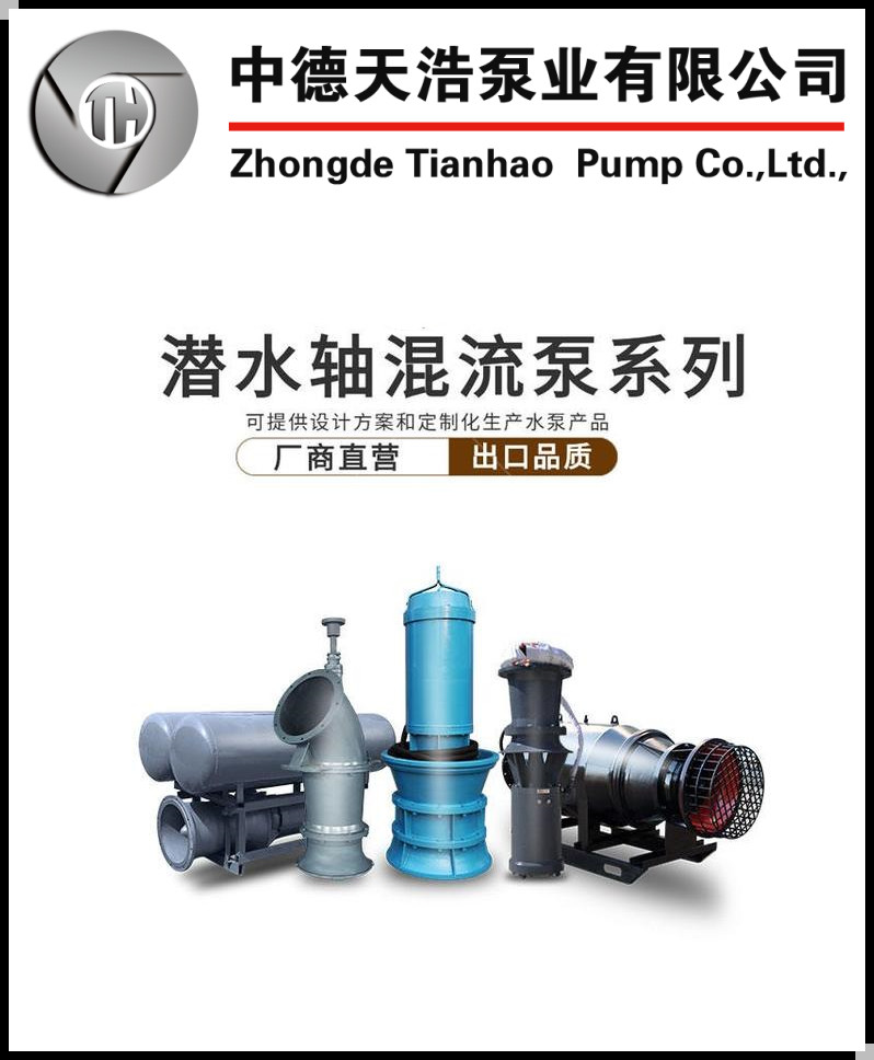 中德天浩潜水轴流泵的直销厂家