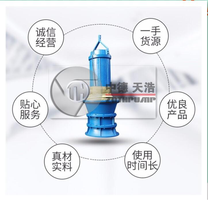 潜水泵哪个品牌好中德天浩潜水轴流泵生产厂家直销