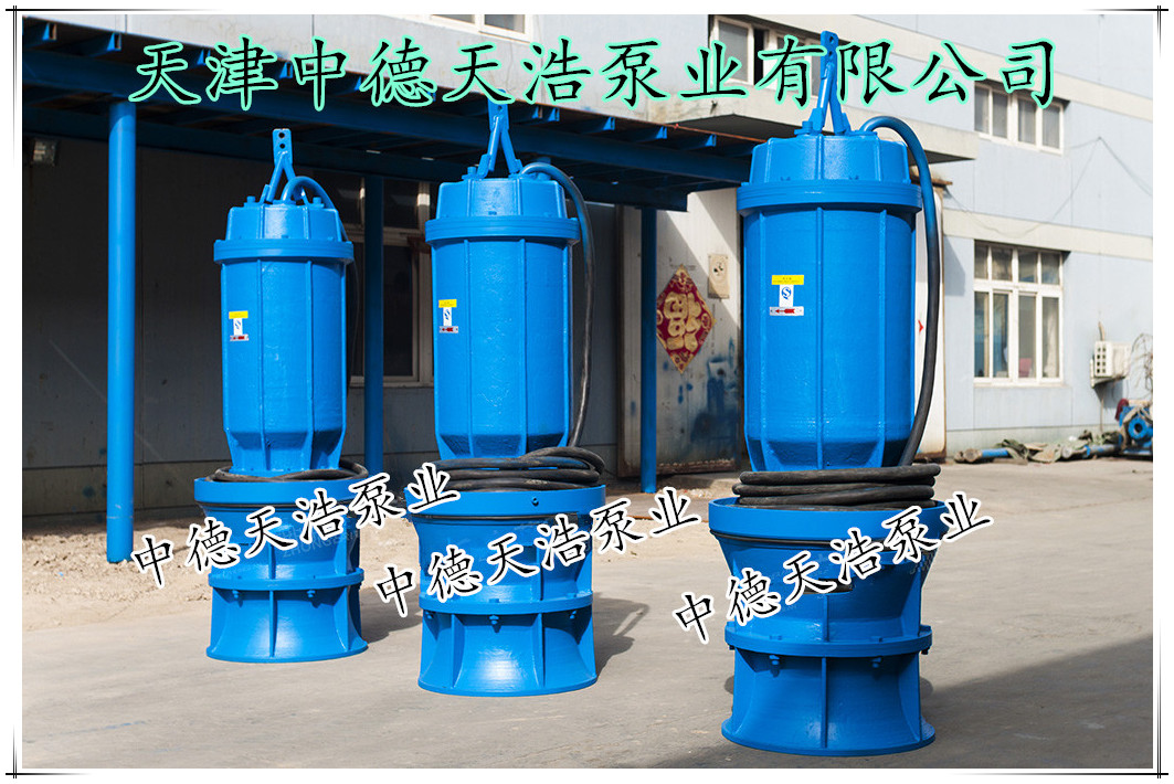 排涝泵站厂中德天浩泵业大流量大型潜水轴流泵