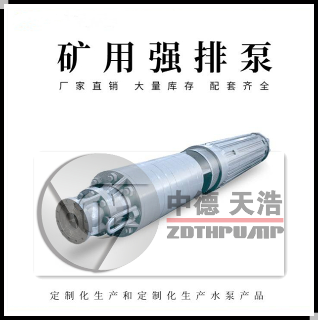 强排型矿用大流量潜水泵 中德天浩泵业 潜水泵厂家