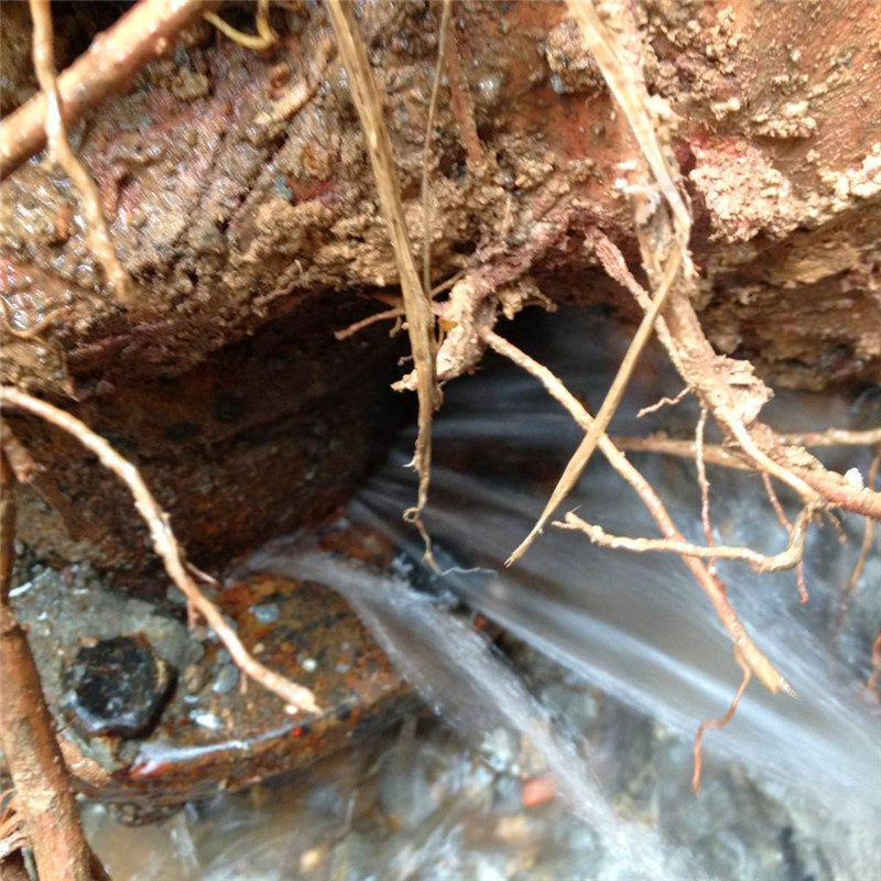 天津市检测水管漏水机构电话 物业法对水管漏水规定 卫生间漏水修理