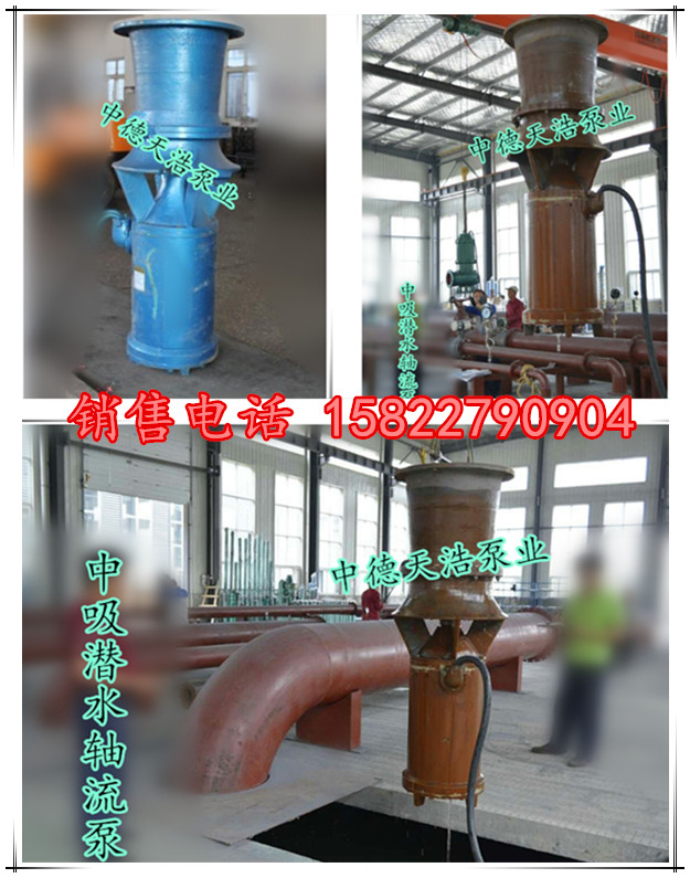 中吸式潜水轴流泵流量参数 中德天浩轴流泵厂家价格