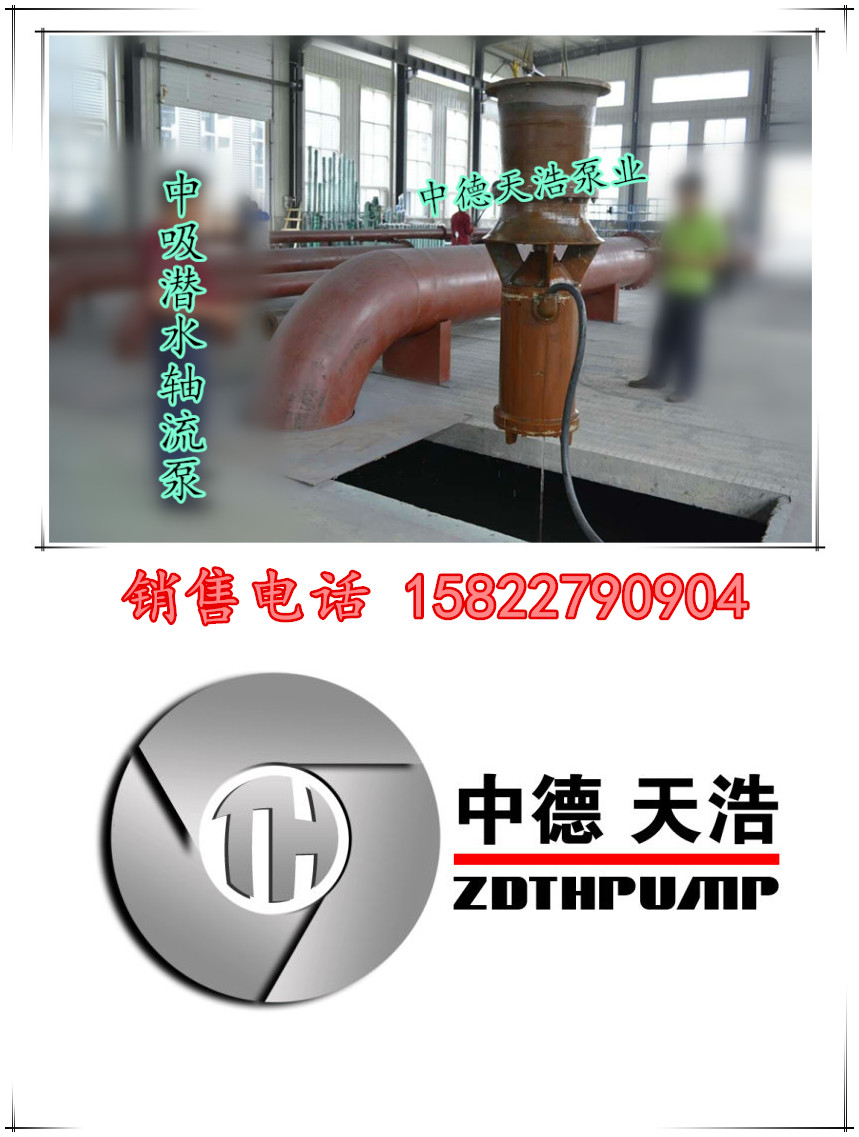 中吸轴流泵002_副本_副本