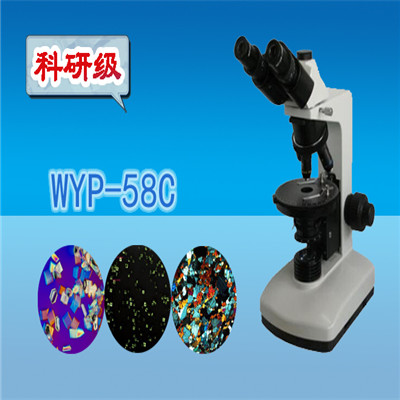 显微镜 偏光显微镜 三目简易偏光显微镜WYP-58C