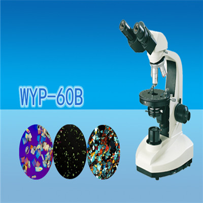 显微镜 偏光显微镜 双目简易偏光显微镜WYP-60B