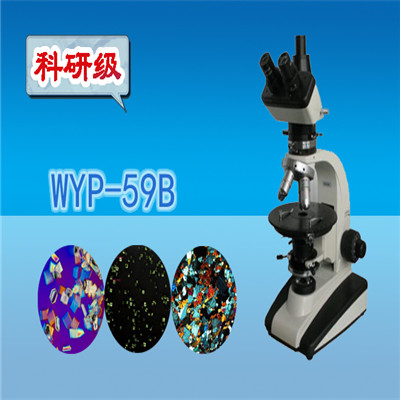 显微镜  双目偏光显微镜WYP-59B  双目显微镜