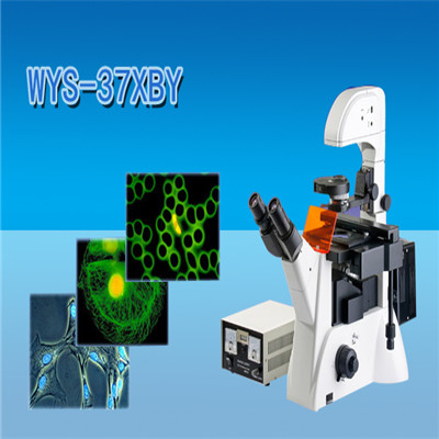 荧光显微镜  倒置荧光显微镜WYS-37XBY 倒置显微镜