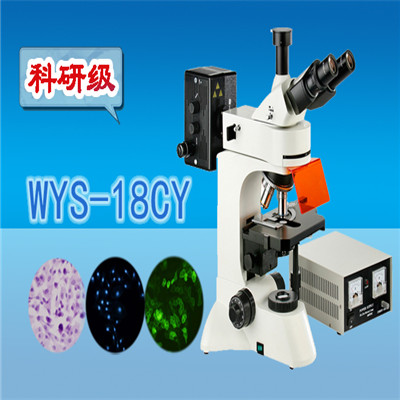 荧光显微镜 科研级三目荧光显微镜WYS-18CY  显微镜