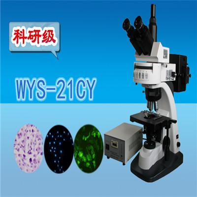 荧光显微镜  科研级三目荧光显微镜WYS-21CY  显微镜