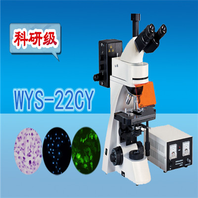 荧光显微镜  科研级三目荧光显微镜WYS-22CY  显微镜