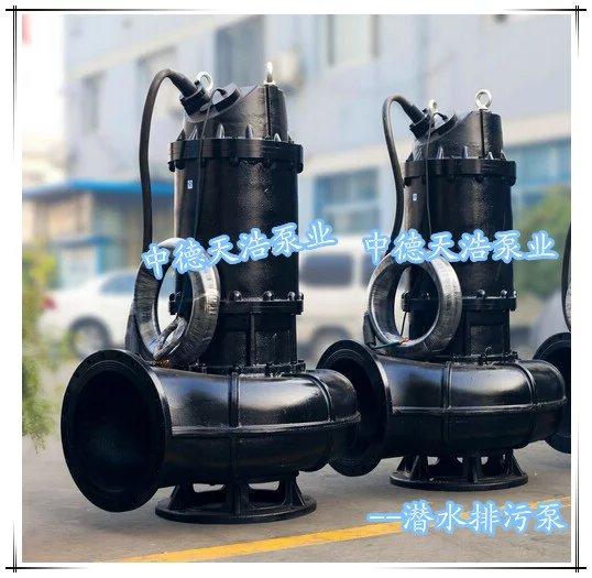 QW铸铁污水泵污水泵厂家 中德天浩泵业直销价格