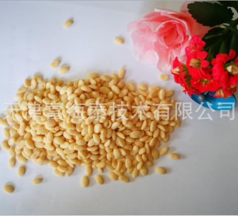 富海泰 沙棘蛋白颗粒P60P80  沙棘蛋白颗粒价格