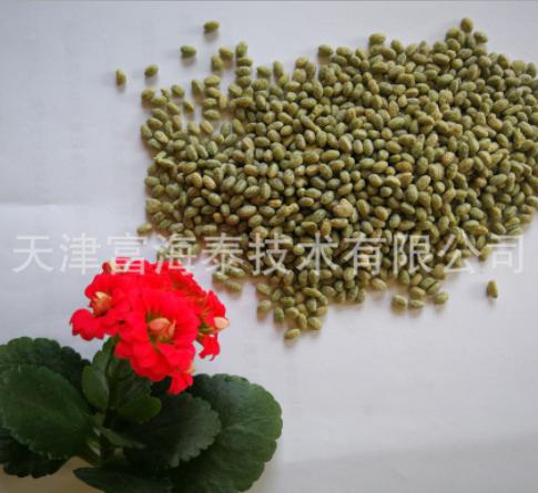 富海泰 抹茶蛋白颗粒P60P80 抹茶蛋白颗粒厂家
