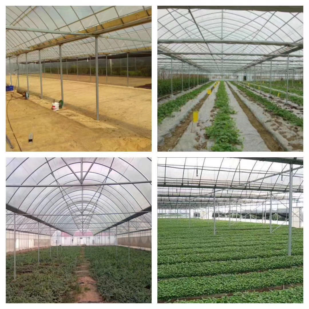 天津利军泰-温室大棚材料-质量有保障