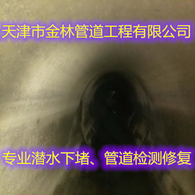 金林9