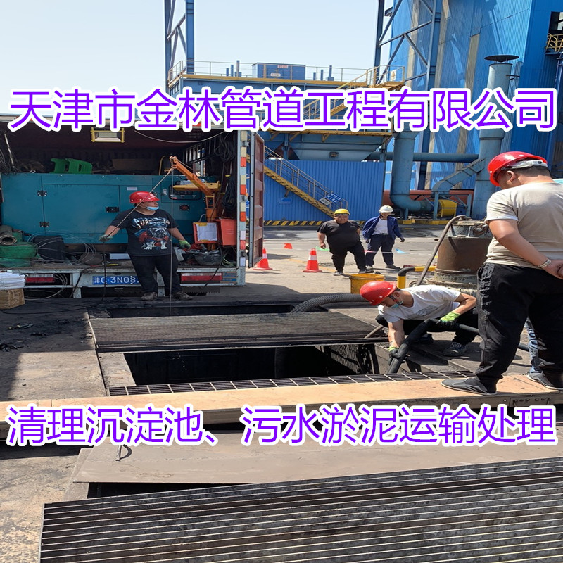 金林24