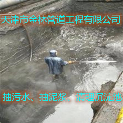 金林17