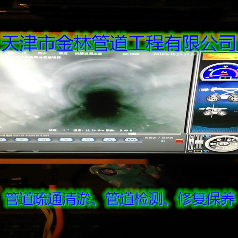 金林16